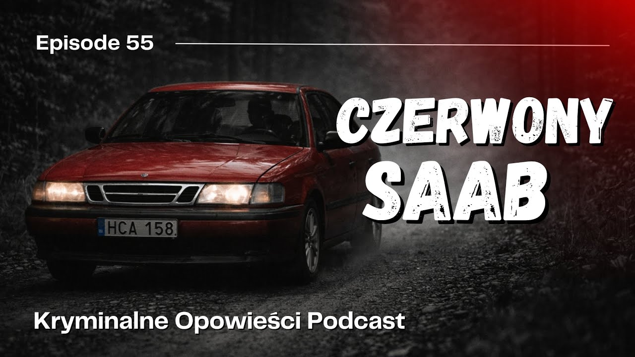 Sprawa Pernilli Hellgren i Engli Höglund | Szwecja.