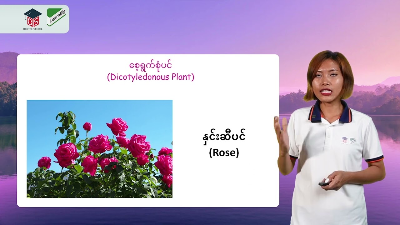 GRADE 5 / SCIENCE အခန်း(၁၀)-သက်ရှိများ၏ဆက်နွယ်မှု