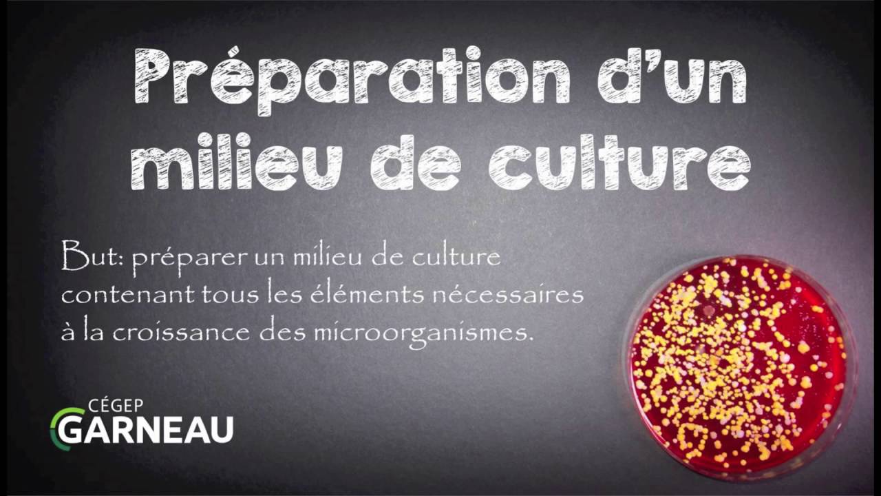 Préparation d'un milieu de culture