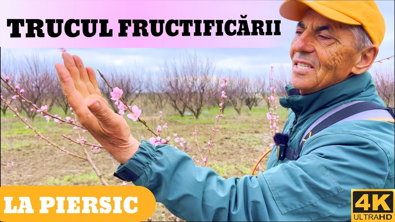 ✂️NIE kroj brzoskwini, до nie zobaczysz TEGO! 🌿🍑