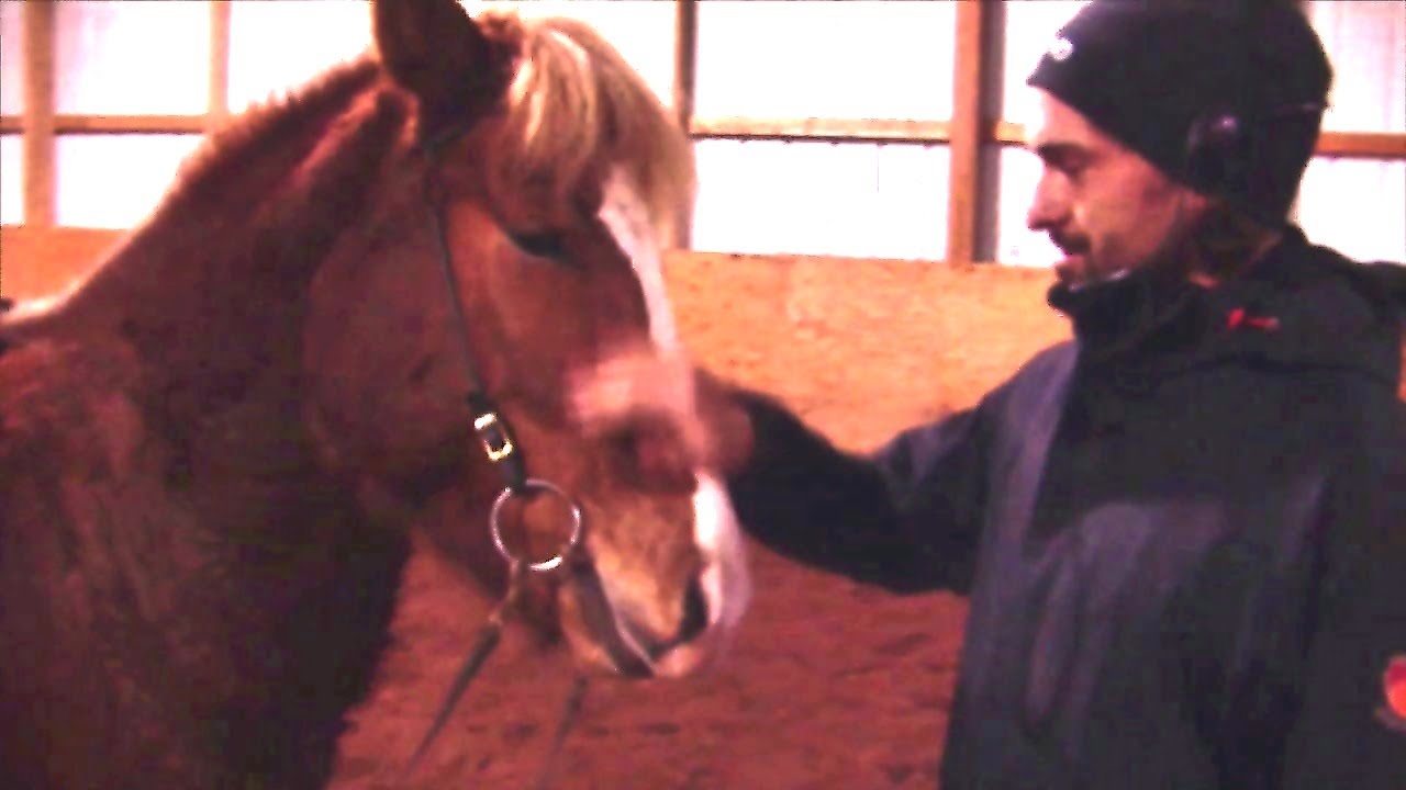 Prestur's First Lesson with Gudmar
