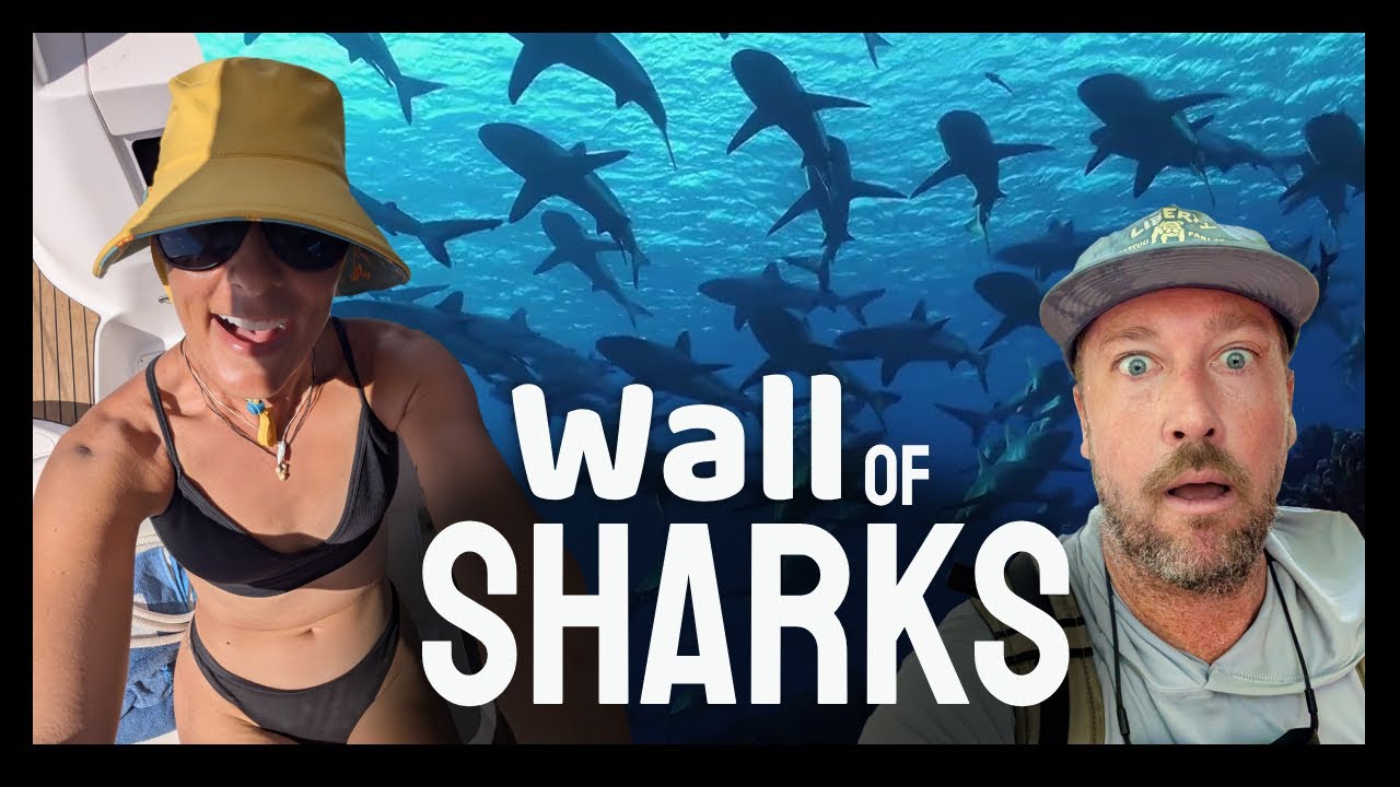 From Sharks to City Life | Sailing From the Tuamotus to the Society Islands (Ep 65)