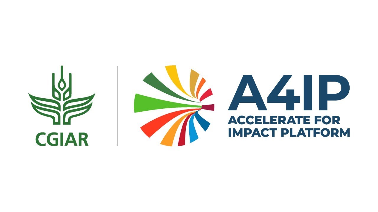 CGIAR Accelerate for Impact Platform (A4IP)