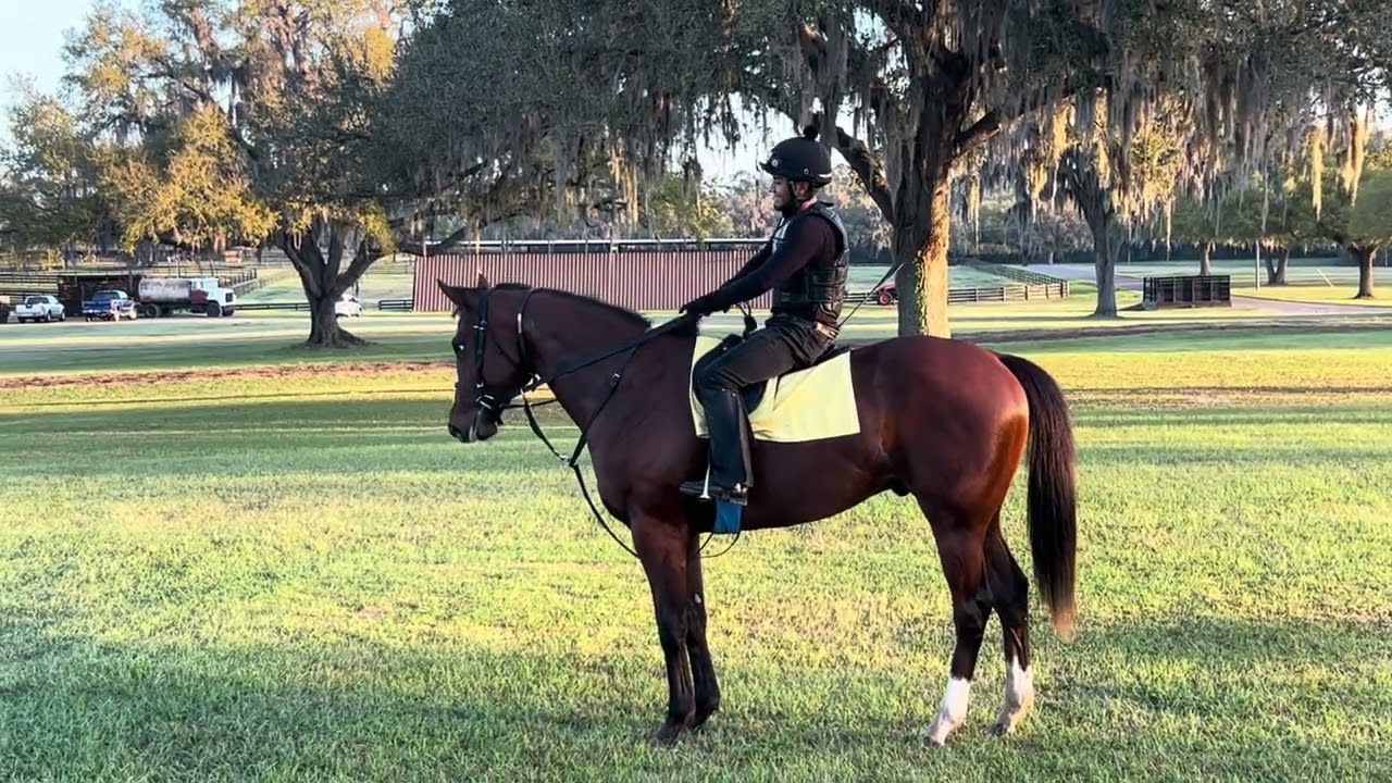 Early Voting - Mamasez and Parden (Flightline) train at Eisaman Equine March 12