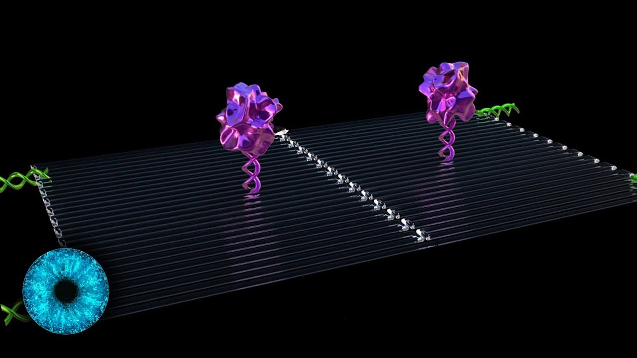 Nanobots werden Wirklichkeit - Roboter im eigenen Körper! - Clixoom Science & Fiction
