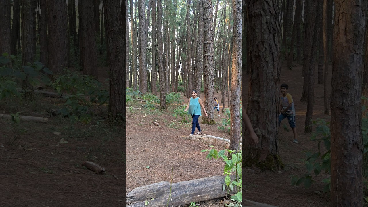 Lower Pine Valley❤️ 