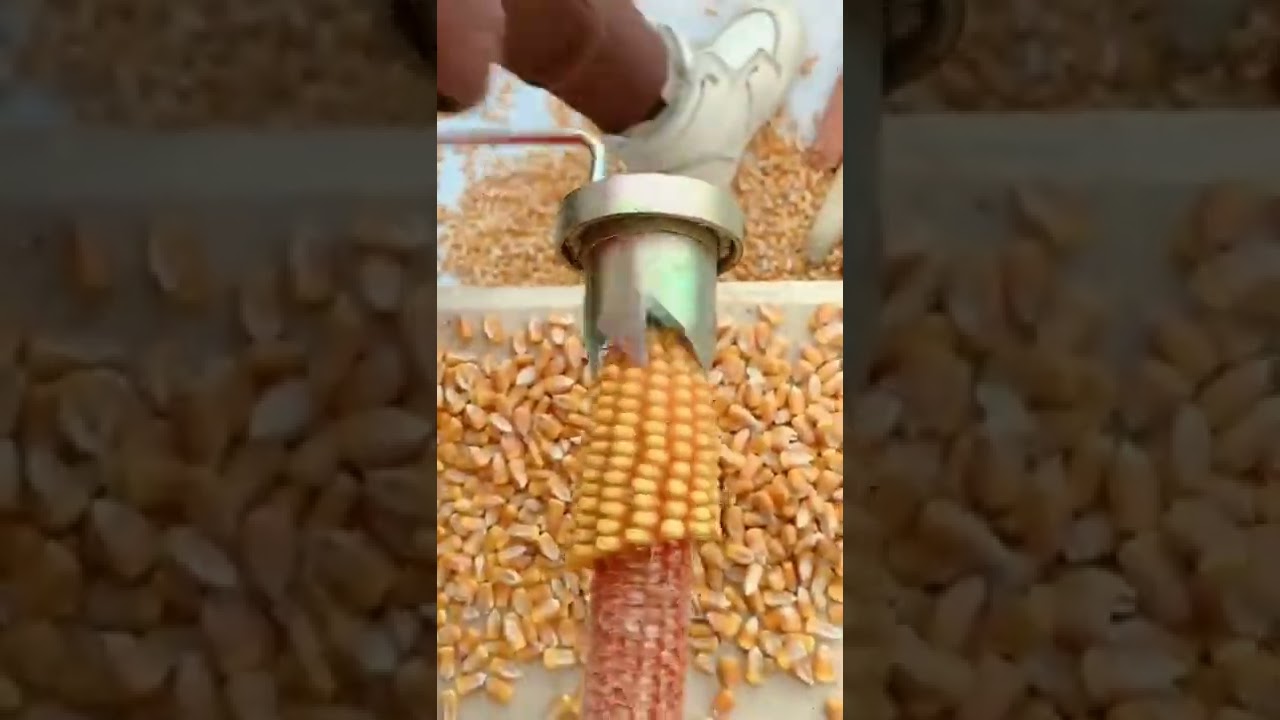 DIY alat perontok jagung#shorts