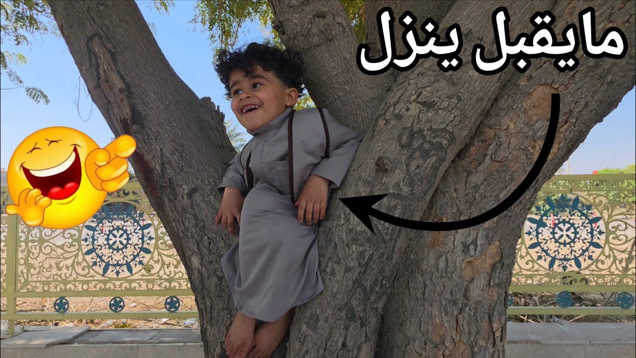 الكوري صاعد فوك الشجرة وميقبل ينزل😂زيارة مرقد الصحابي مالك الاشتر🕌