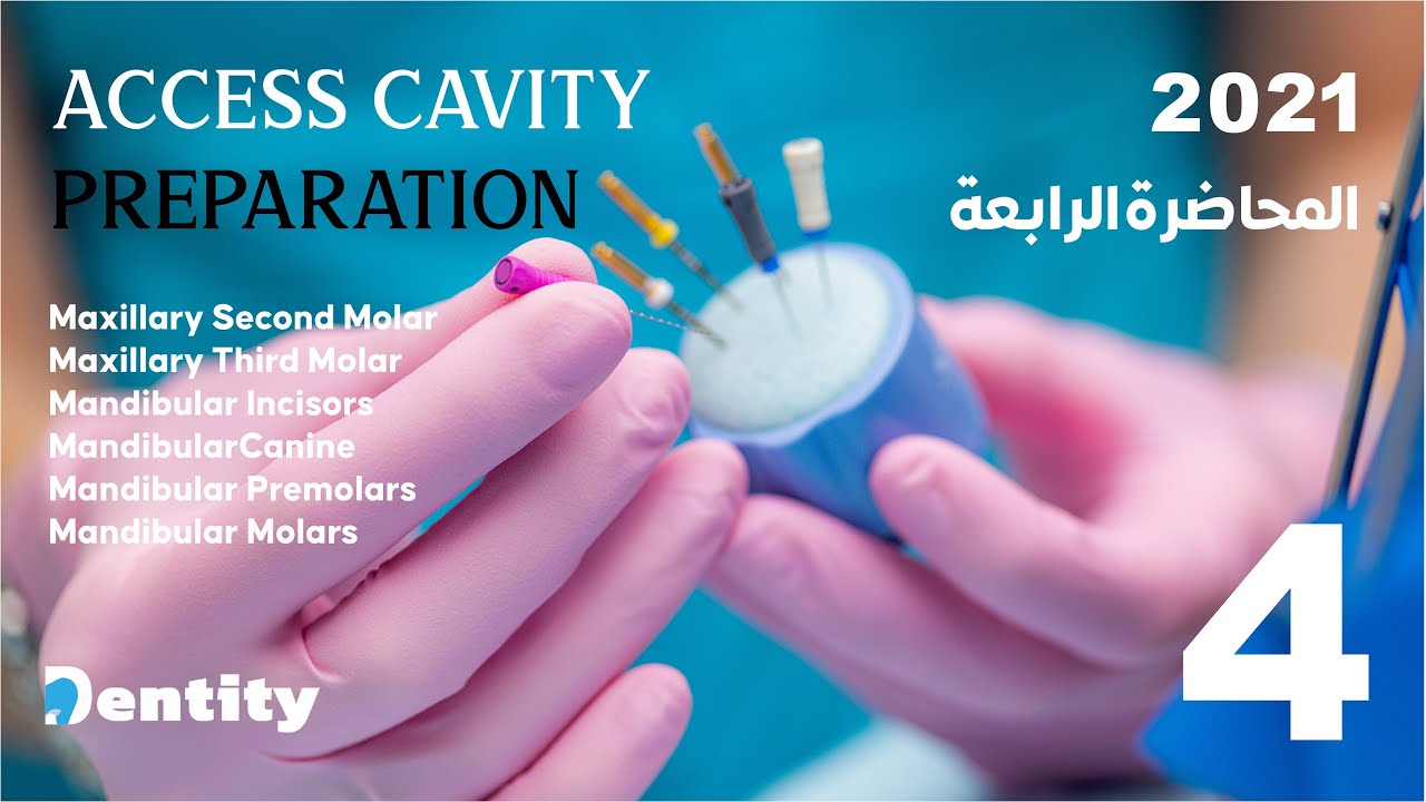 المحاضرة الرابعة لعلاج العصب | Root Canal System