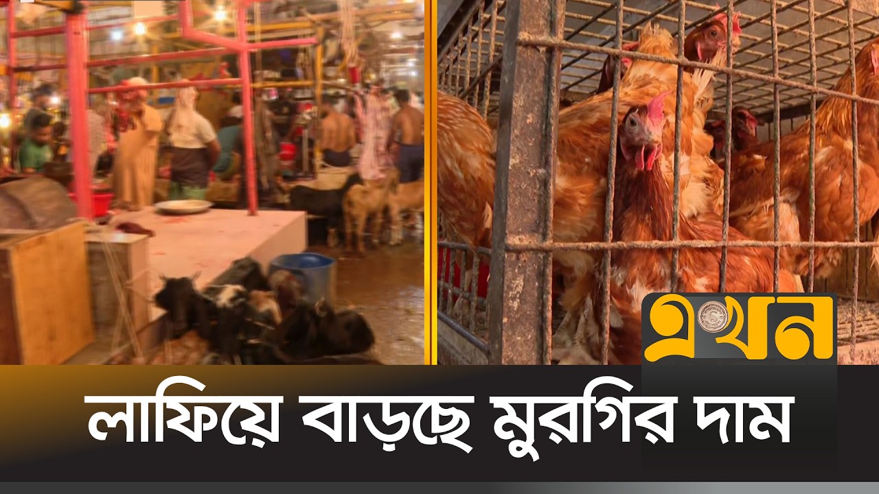রাজধানীর বাজারে বেড়েছে সবজির দাম, মুরগির দামও বাড়তি | Karwan Bazar Price Update | Ekhon TV