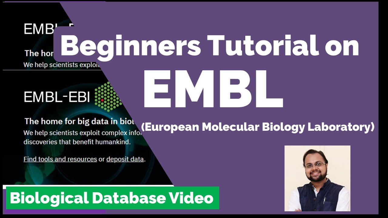Учебное пособие по базе данных EMBL: руководство для начинающих