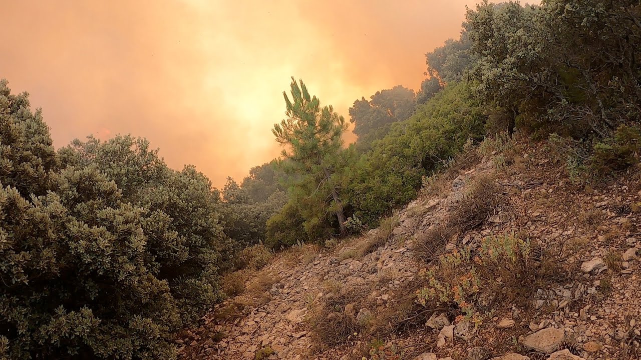 Incendio forestal en el Cerro Gordo (Caravaca de la Cruz)