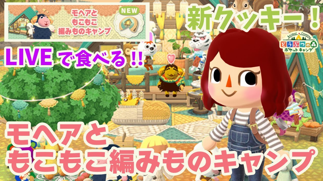 【ポケ森/生放送】ライブで食べるよ！新クッキー「モヘアともこもこ編みものキャンプ」【どうぶつの森ポケットキャンプ】