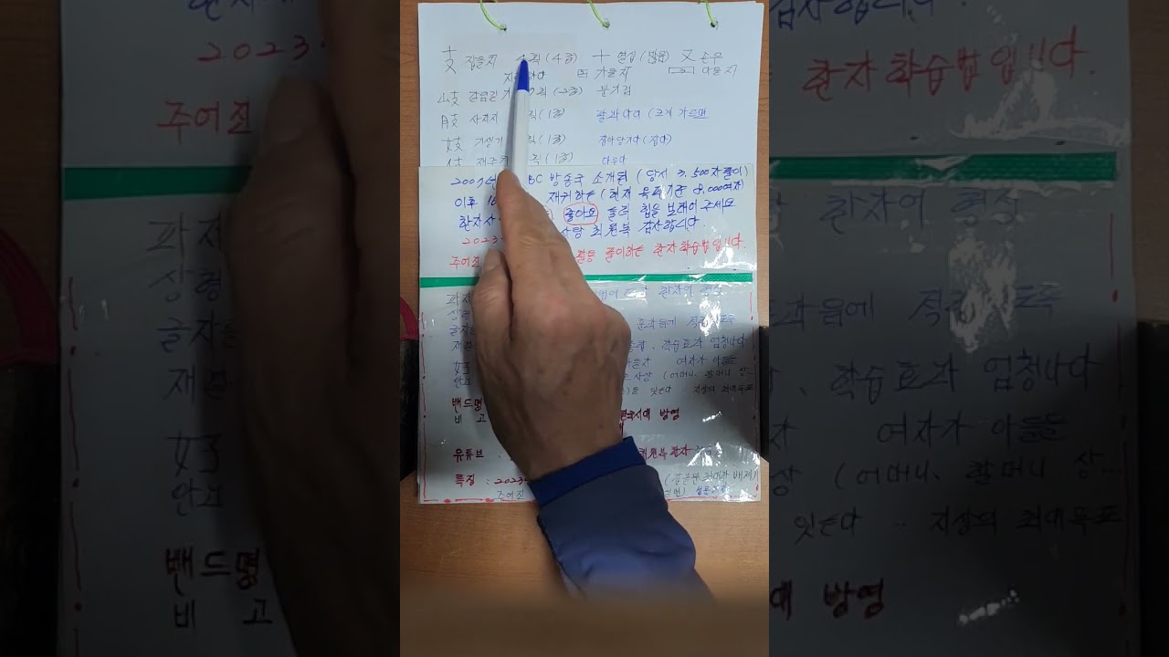 支지탱할지 肢팔다리지 技재주기 岐갈림길지  妓기생기 仗의장장  한자어 가장쉽게배우기 하는방법 구분하는방법 2023년형 공부학습풀이법