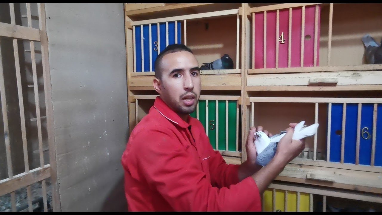 بعد غياب... الجديد 💥 عندك الأبطال صلاح الدين إمشد-جدار حمام عالمي 🔥