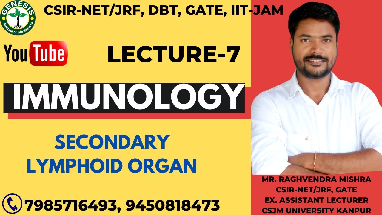 Secondary Lymphoid Organ | L-7 |
