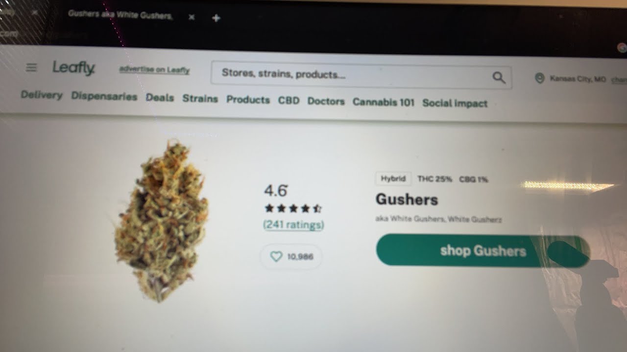 WHITE GUSHERS STRAIN REVIEW | ELEVATEDGANG