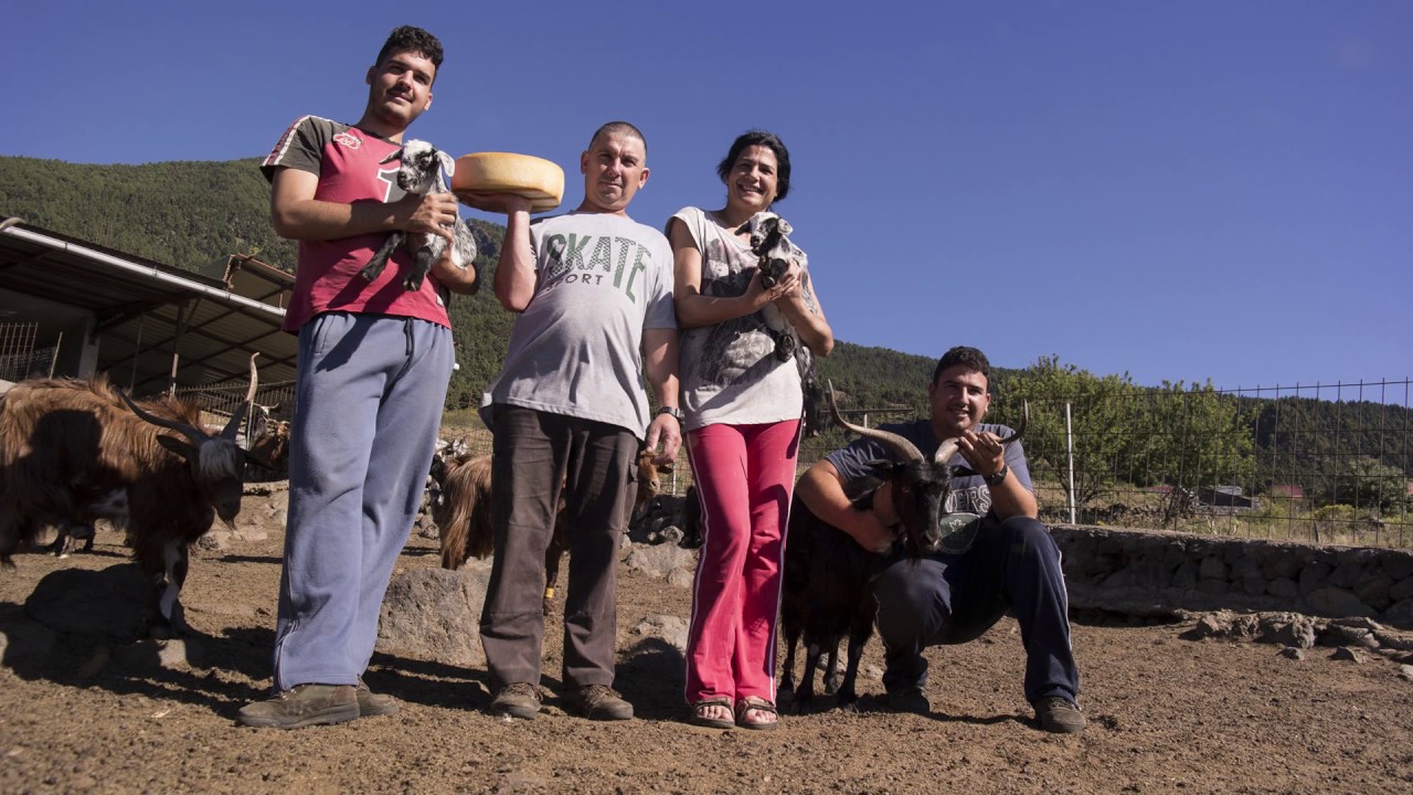 Quesos imprescindibles de Canarias