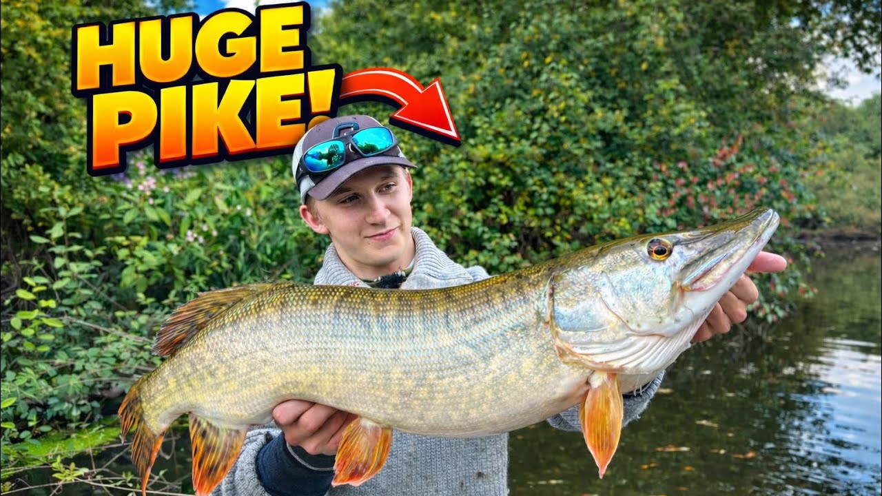 Emil får sin største gjedde noensinne❗️💥🐊