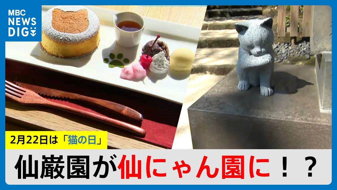 2月22日猫の日前に仙巌園がネコ尽くしで仙にゃん園に！？　鹿児島市（MBCニューズナウ 2025年2月20日放送）