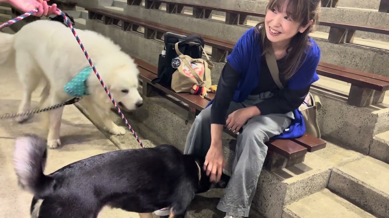 あの子にあいにゆく