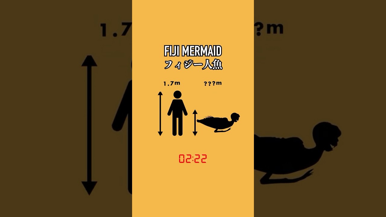 【UMA】FIJI MERMAID / フィジー人魚