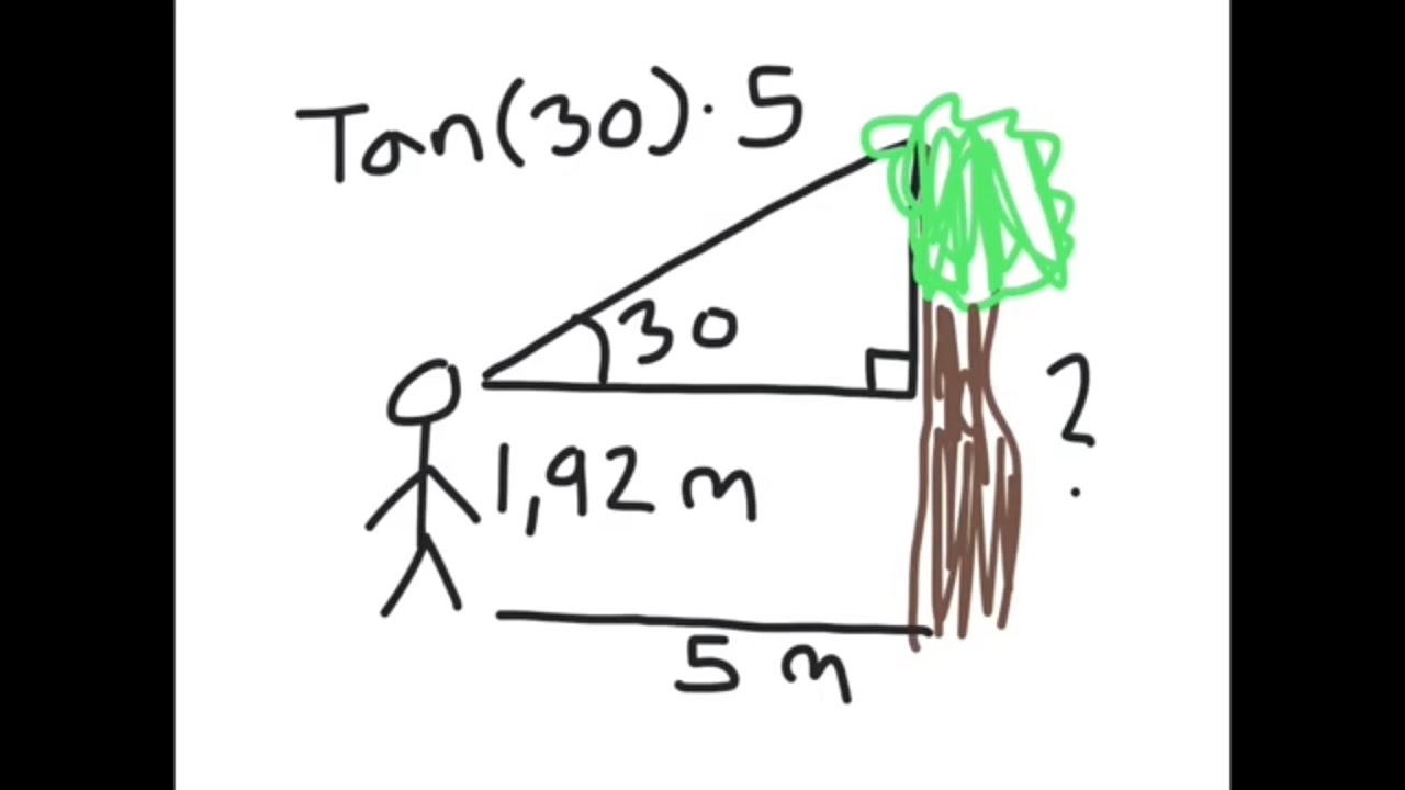 Beregning af højde med tangens (trigonometri)