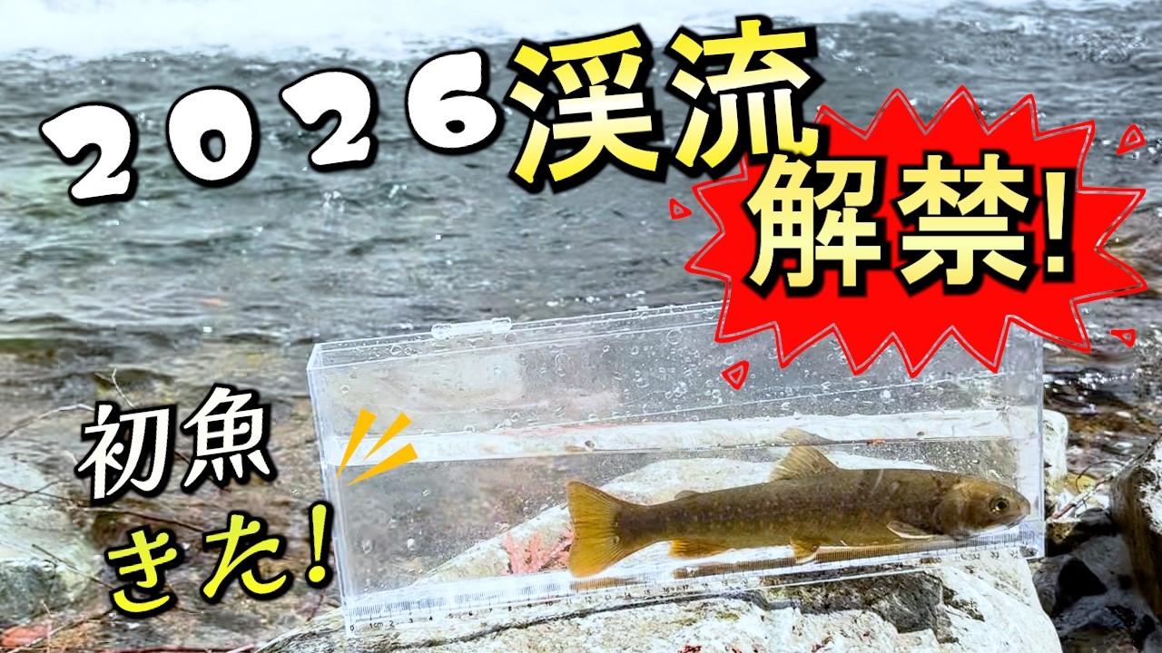 【2026渓流解禁】今年の初魚きた！シーズン初釣行！