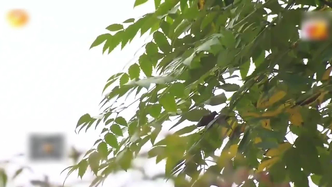 /[主题]因果报应 /[短标题]继母虐待30年，睡街吃垃圾真解气 #/[中文关键词]继母 #虐待 #报应 #街头 #剧情