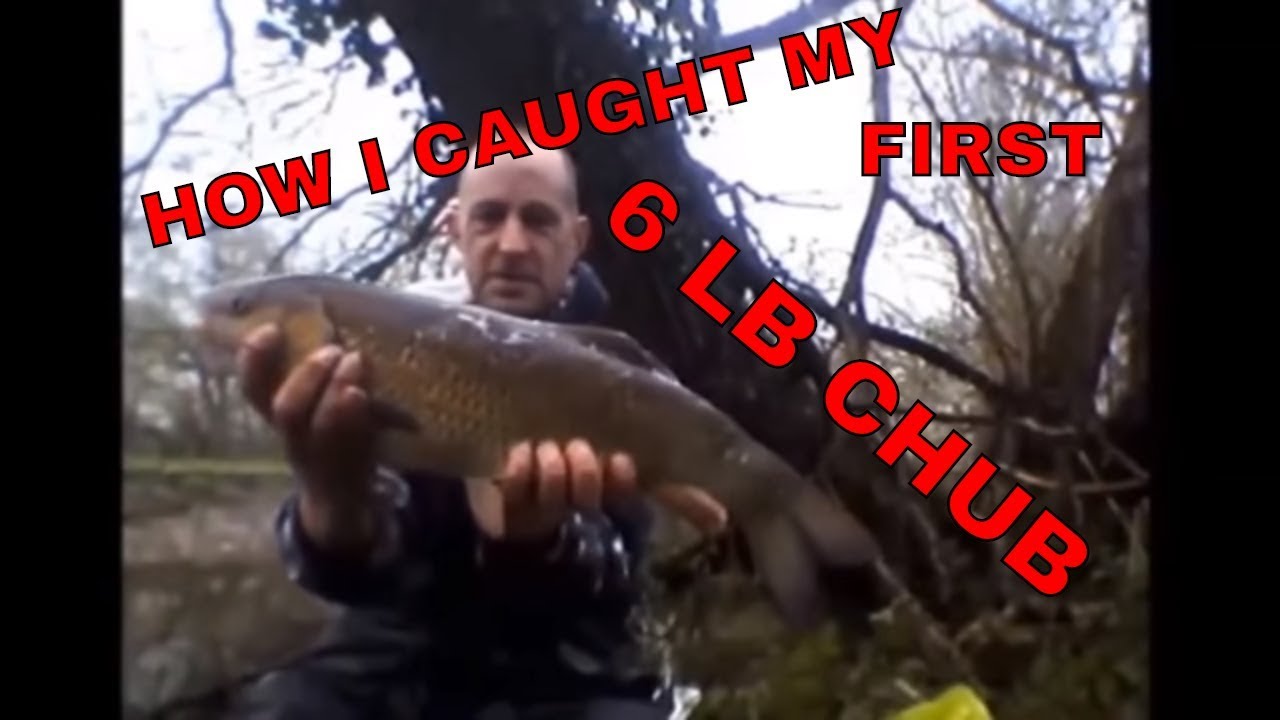CHUB FISHING RIVER WAVENEY the big movie