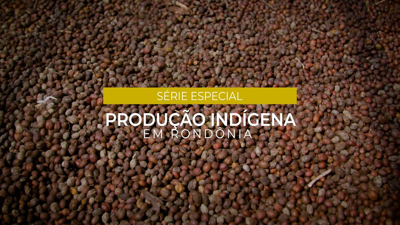 Série Produção Indígena em Rondônia - Café da etnia Paiter-Suruí