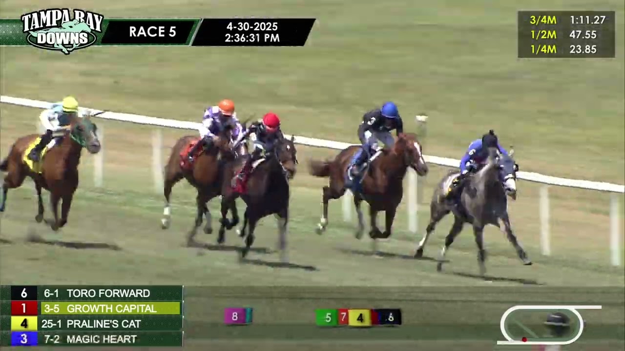 April 30, 2025  Race 5
