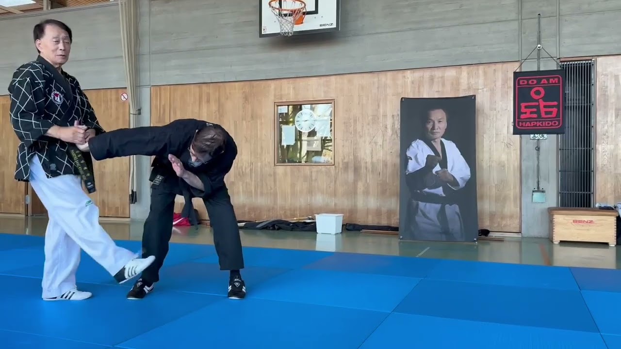 Hapkido-Lehrgang mit Großmeister Bang, Kyung-Won in Sindelfingen 2024,  Teil 1