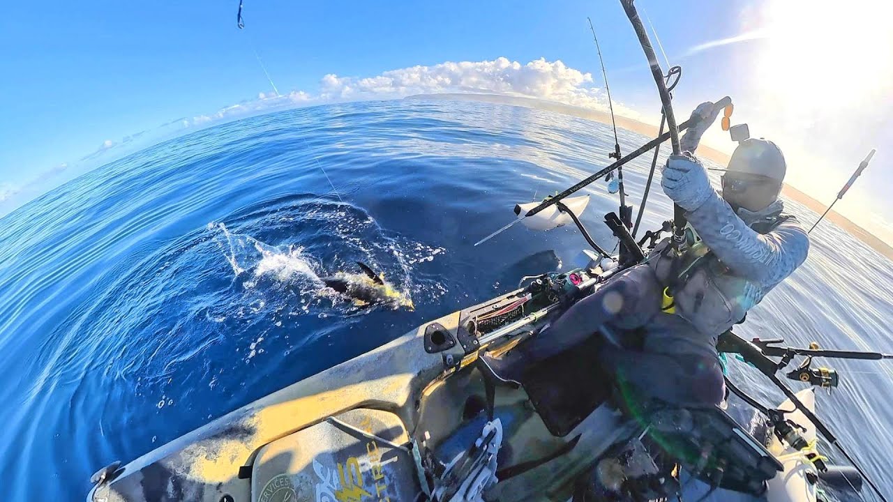 Fishing for Thanksgiving Shibi (Yellowfin Tuna) | Kayak Fishing Hawaii | Very Thankful