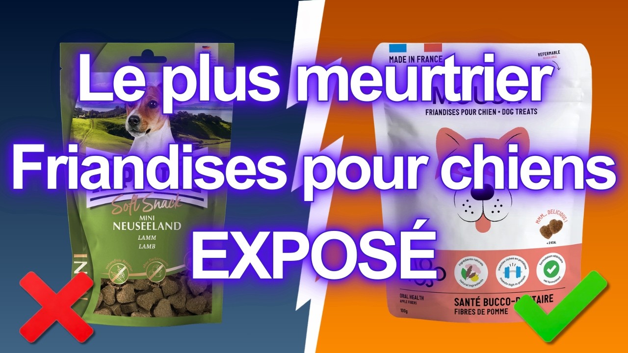 9 Friandises Pour Chien À ÉVITER Et 2 Qui Valent le Coup