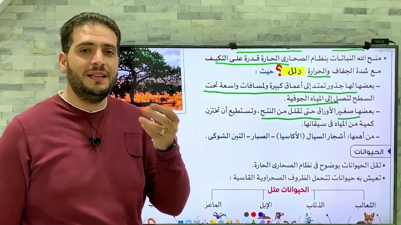 نظم الحشائش الحارة والمعتدلة والصحاري الحارة في افريقيا اولى اعدادى الدرس 2| الوحدة 3 (الجزء الثانى)