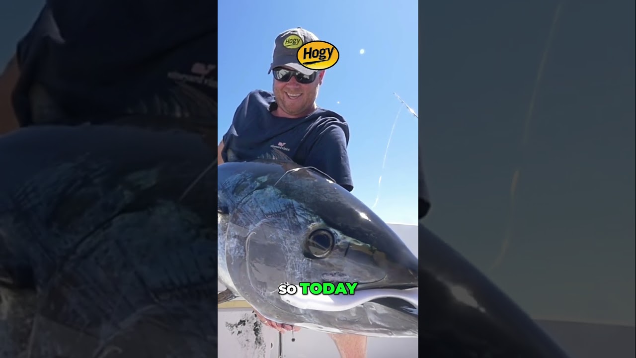Bluefin Tuna with Pro Tail Paddles #BluefinTuna #FishingTechniques #ProTailPaddles #SightCasting