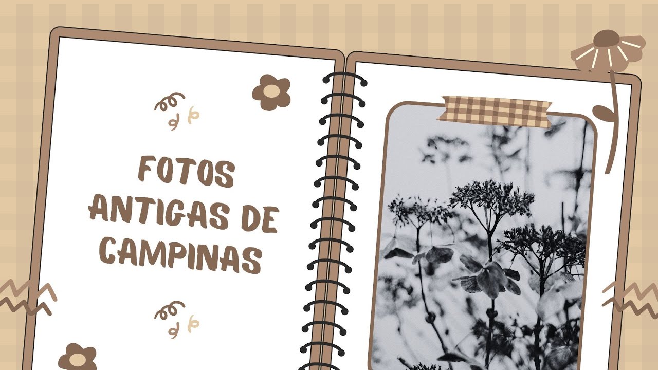 Fotos Antigas de Campinas