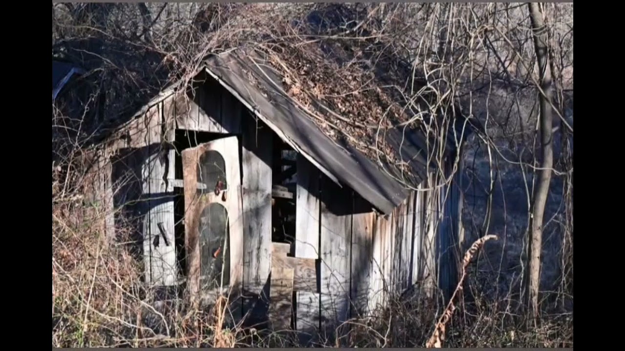 Nature: Audrey Carroll Audubon Sanctuary_Patuxent RiverSPAboveTriadelphi