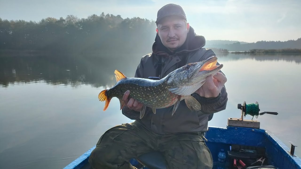 Szczupaki na żywca i nie tylko!!