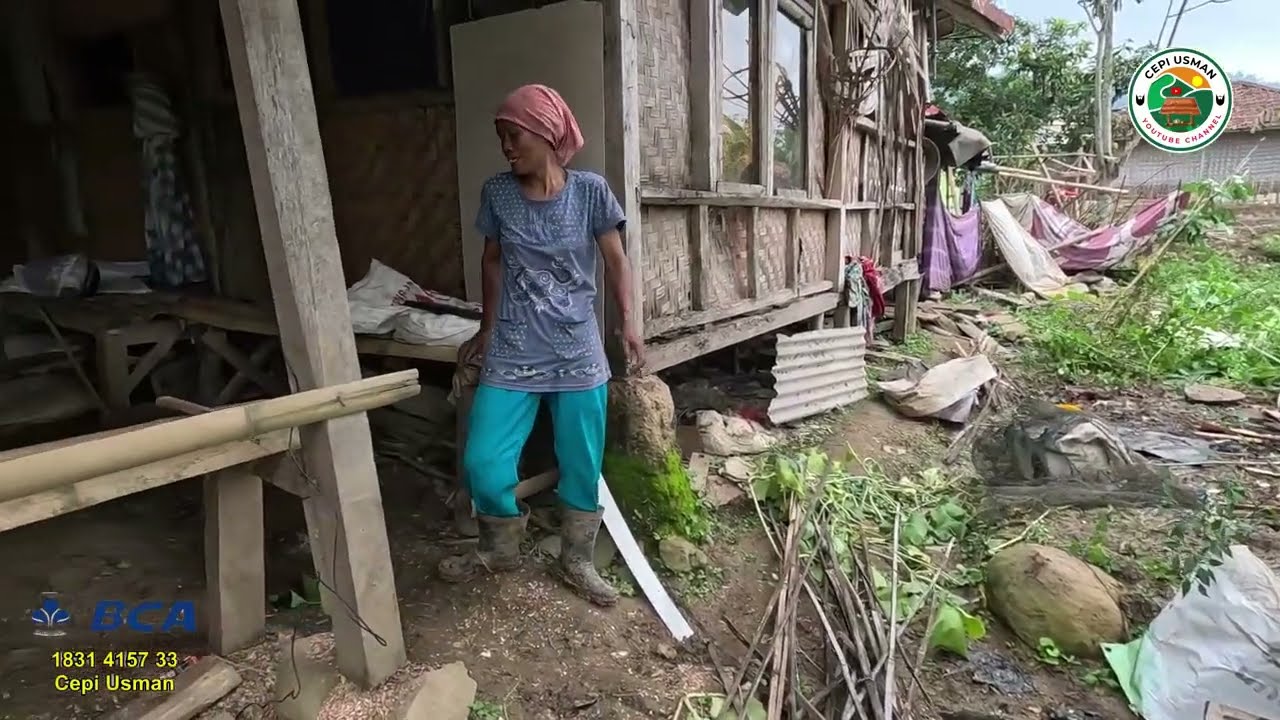 BU HAYATI MULAI BERKEBUN LAGI YG SEKIAN LAMA TERBENGKALAI KARENA BEKERJA MEMBANTU PEMBANGUNAN BIMBEL