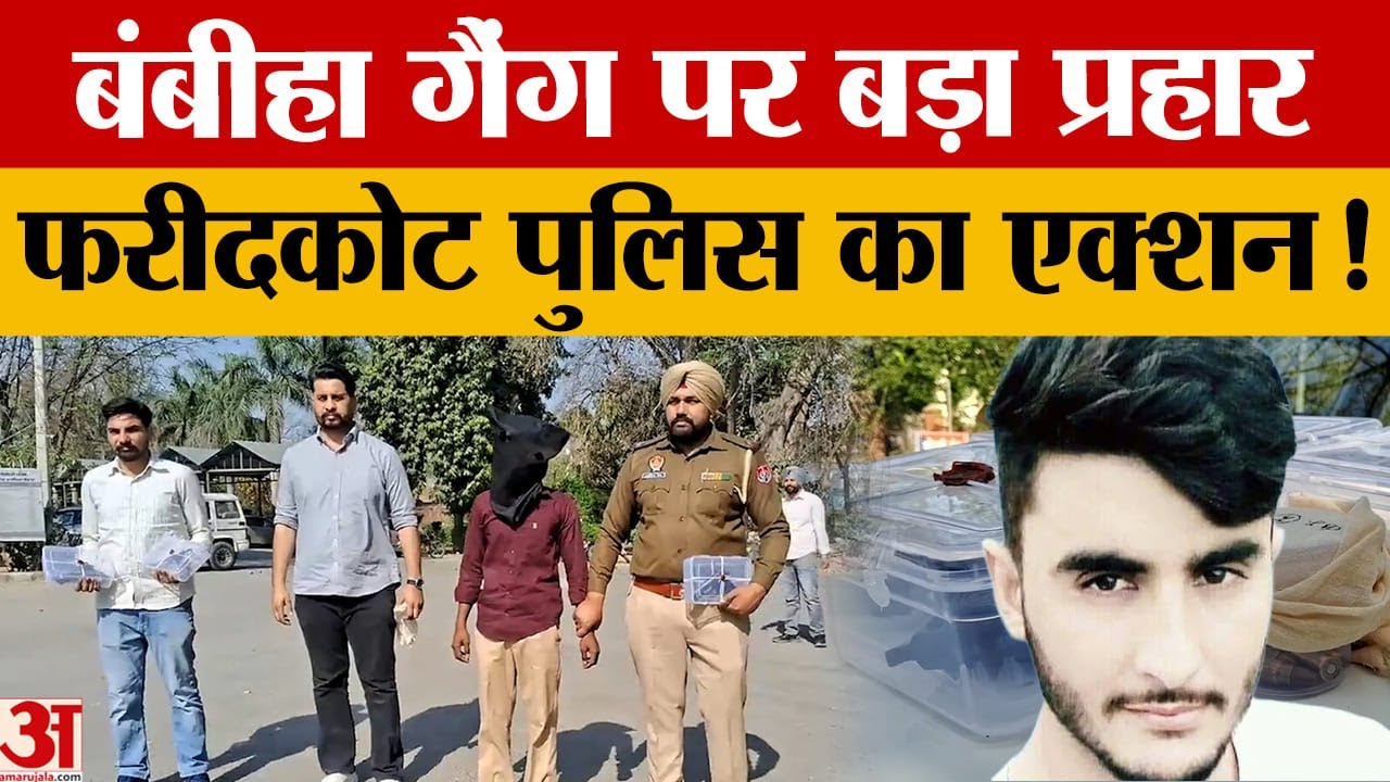 Faridkot Police की बड़ी कार्रवाई: Bambiha Gang का गुर्गा 3 अवैध पिस्तौल और 6 कारतूस के साथ गिरफ्तार