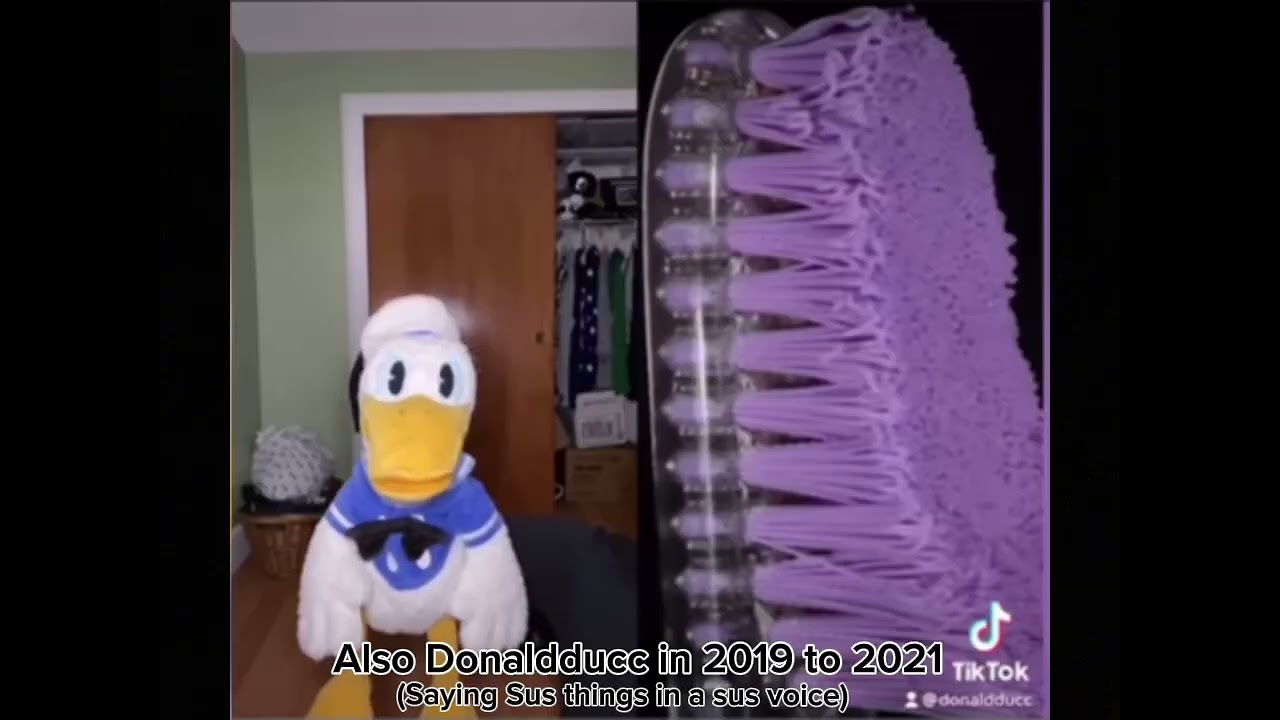 Donald Ducc: &ldquo;NO SWEARING.&rdquo; Also donaldducc in 2019 to 2021: