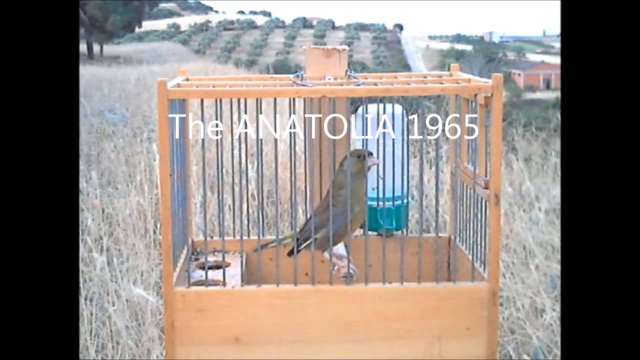 ΦΛΩΡΟΣ ΒΕΡΟΙΩΤΗΣ 2