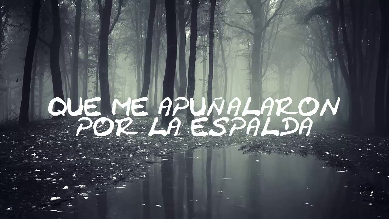 Make Them Suffer - Neverbloom (sub espa&ntilde;ol)