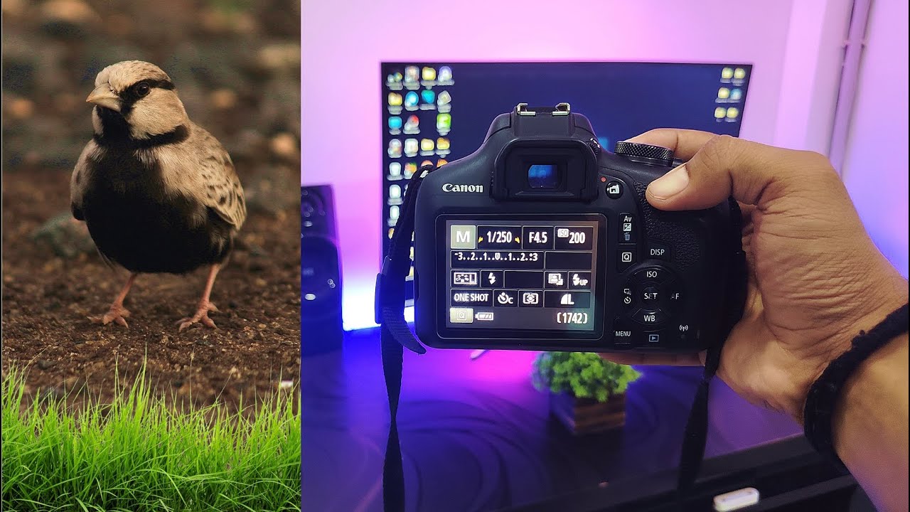 How To Record Cinematic Videos On Canon Eos 1500D | DSLR videography Tips | 55-250 Lens | Hindi
