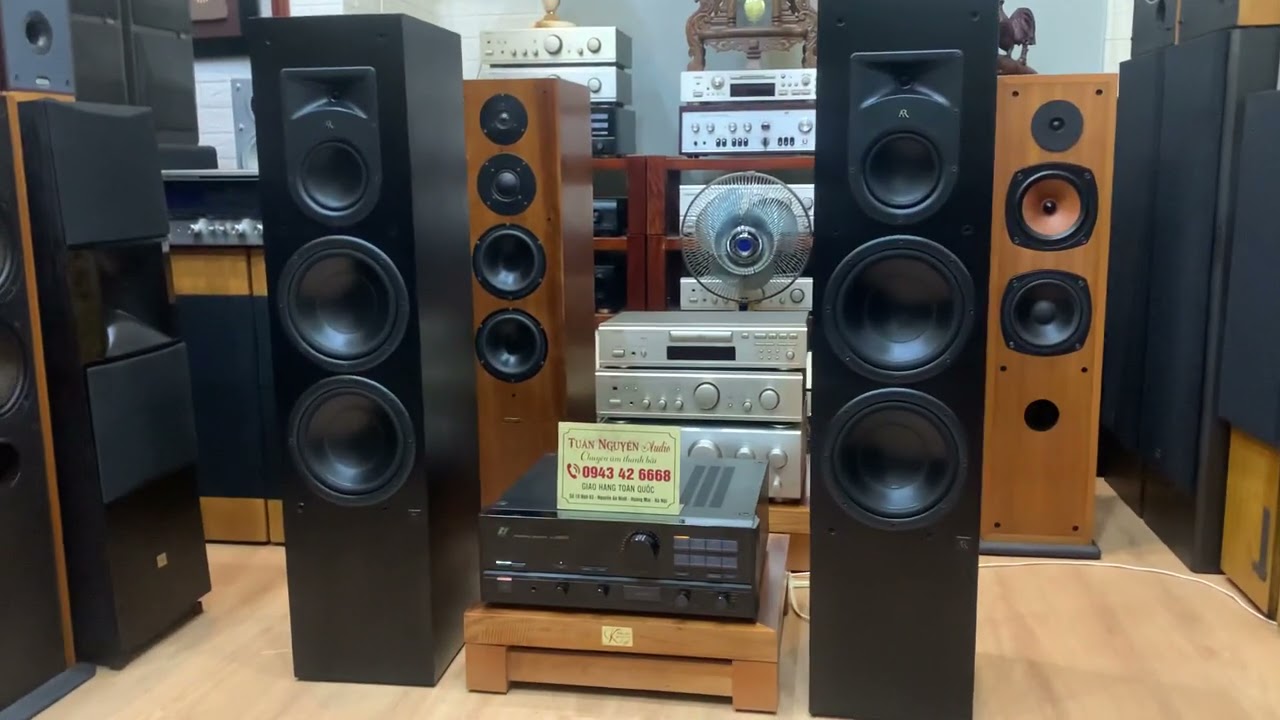 Loa cây mỹ Ar model 1.01 cực khủng với 2 bass 20. Chơi đa dòng nhạc cực hay .( đã bán)