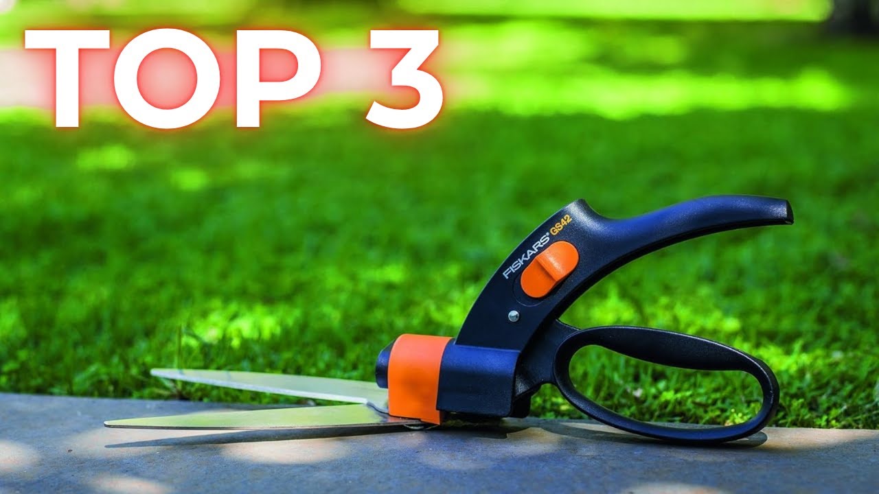 TOP 3 Meilleure Cisaille à Gazon 2025