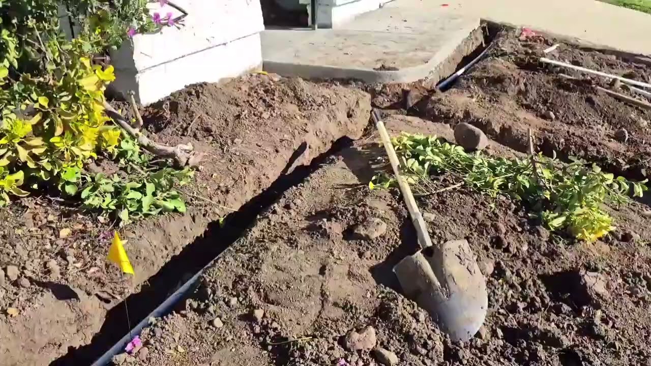 New Garden part 1 