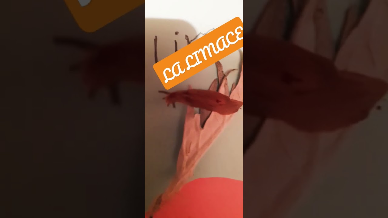 VOTRE SOL FERTILE NOTRE ALLI&Eacute; DANS L'ENVIRONNEMENT LIMACES SIGNE DE VIE ET DE FERTILIT&Eacute;  POUR LE SOL